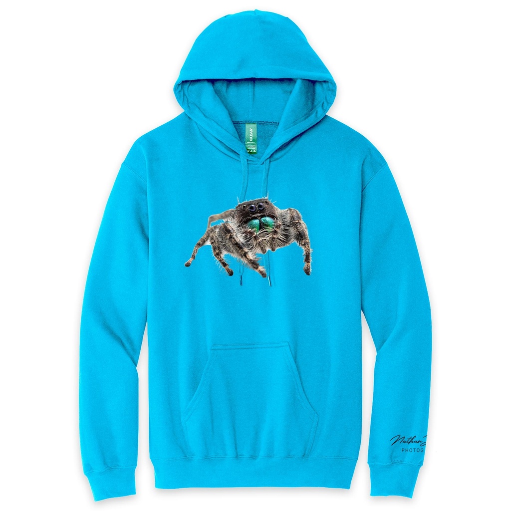 Nathan Jordan Photography - Jump Spider Hoodie