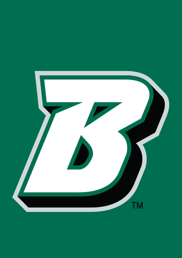 Binghamton University Garden Flag