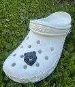 Black bears head .webp