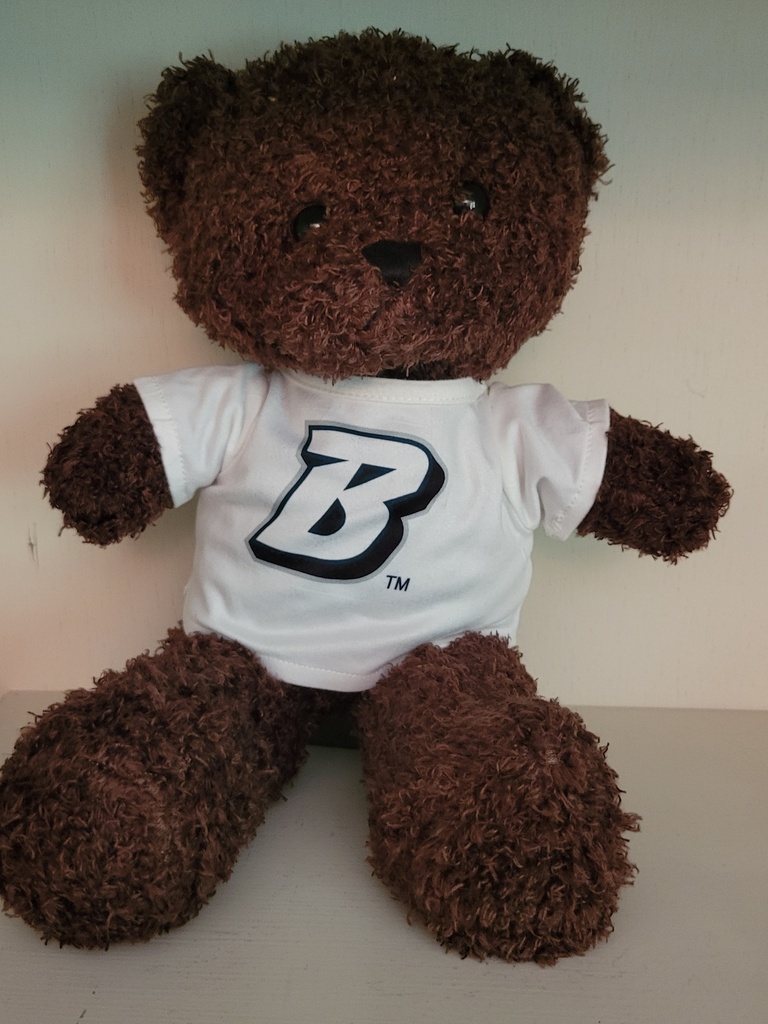 Binghamton University 12" Teddy Bear