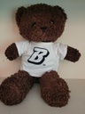 Binghamton University 12" Teddy Bear