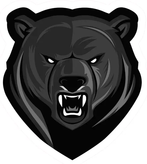 Binghamton Black Bears Alternative Logo Removable Wall Sticker