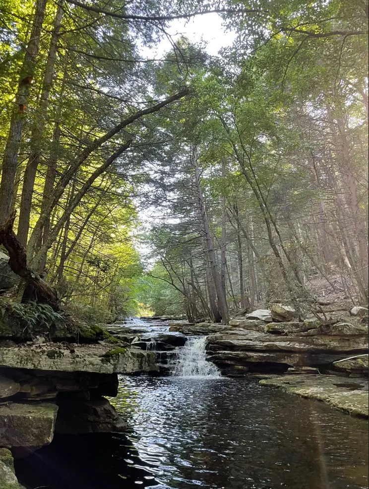 New York Master Naturalist Program Photo Print - Catskills Stream Plunge Pool