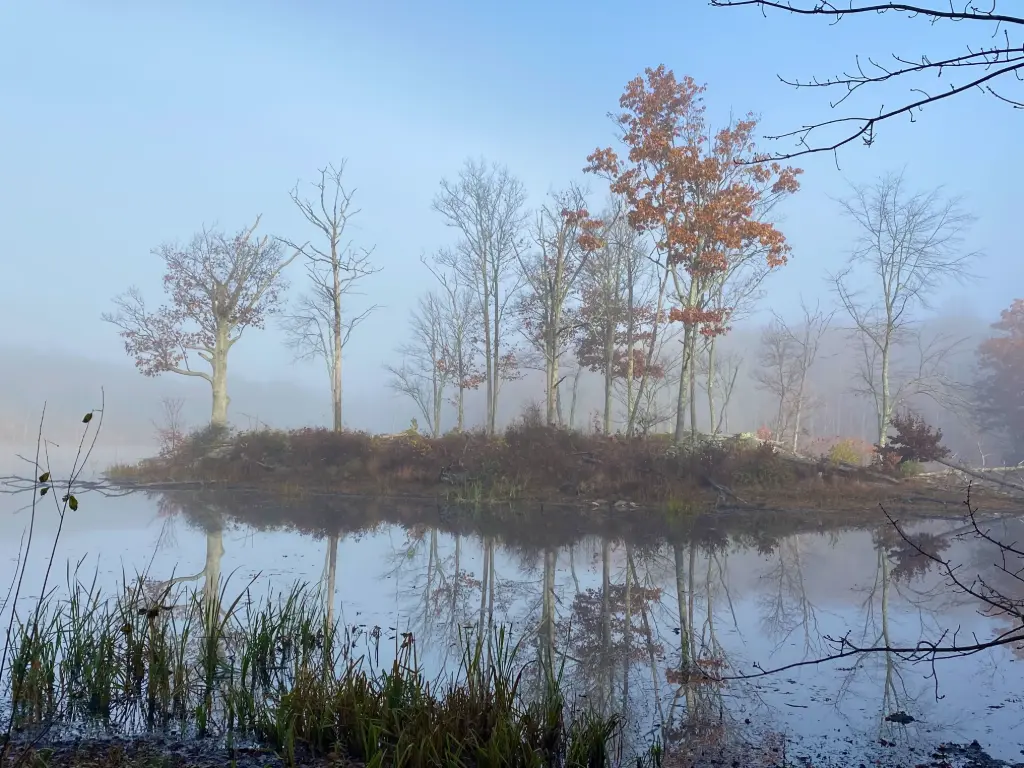 New York Master Naturalist Program Photo Print - Teatown Lake on a Foggy Morning