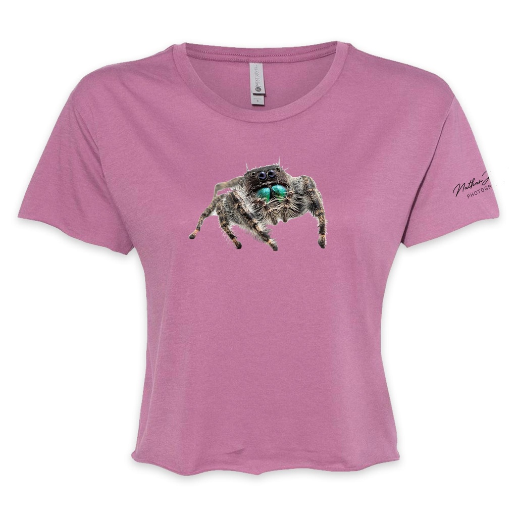Nathan Jordan Photography - Jump Spider Cropped Tee