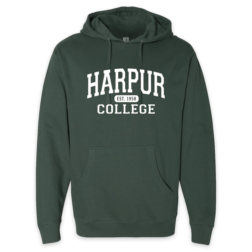 Harpur College Nostalgia Hoodie in Green