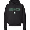 Binghamton University Hoodie