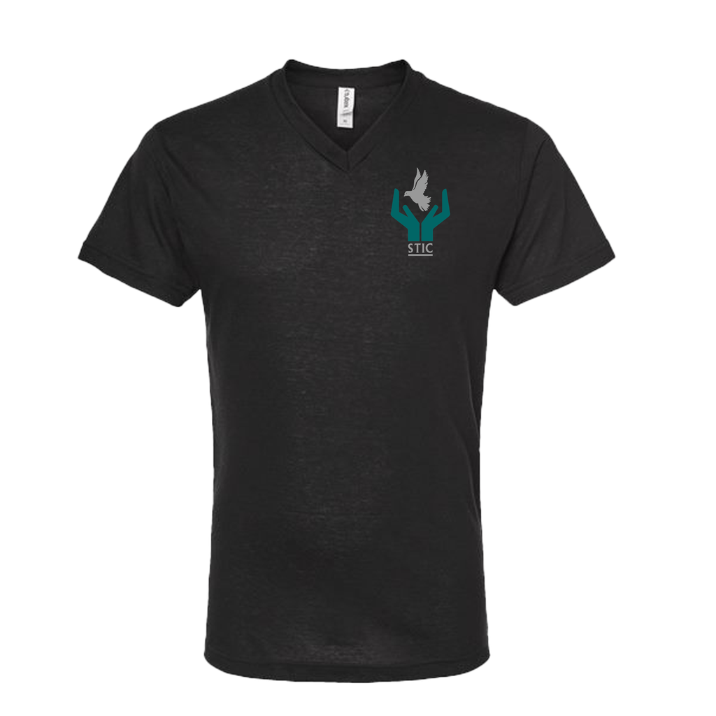 [207-S-Black] STIC Unisex V-Neck (S, Black)