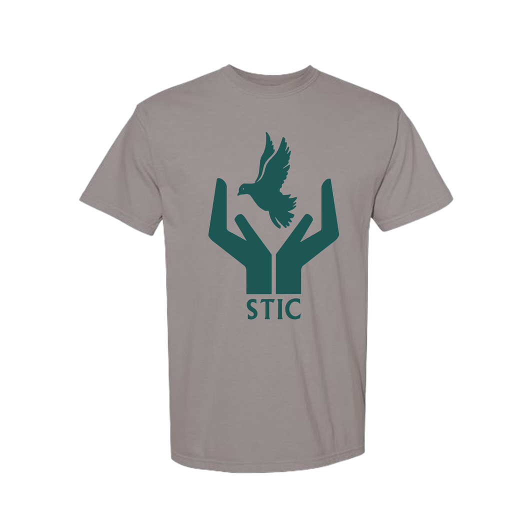 [1717-S-Grey] STIC Comfort Colors T-Shirt (S, Grey)