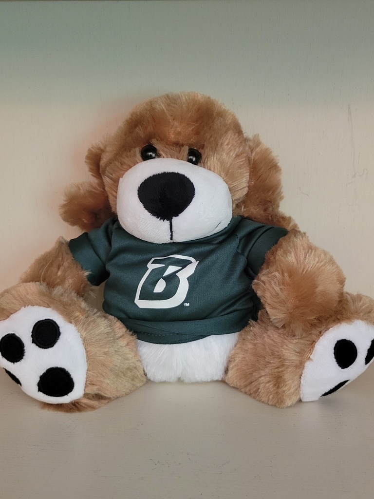 Binghamton University 8.5" Plush Puppy