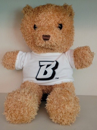 Binghamton University 12" Teddy Bear