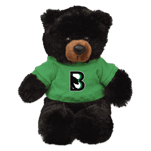 Black Bears Teddy Bear 
