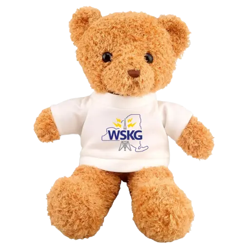WSKG Radio Tower Teddy