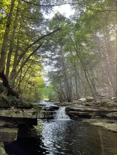 New York Master Naturalist Program Photo Print - Catskills Stream Plunge Pool
