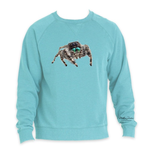 Nathan Jordan Photography - Jump Spider Crewneck
