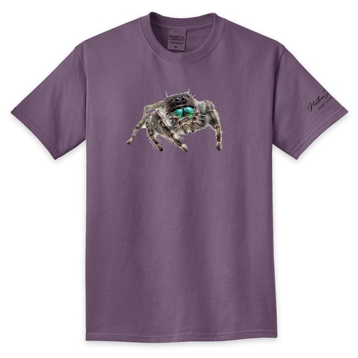 Nathan Jordan Photography - Jump Spider Tee