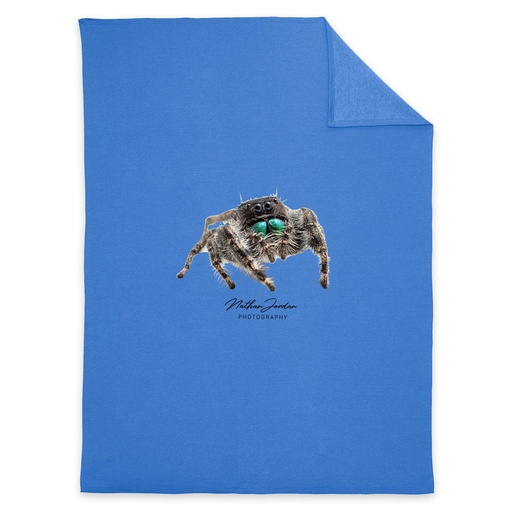 Nathan Jordan Photography - Jump Spider Blanket
