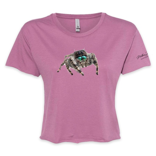 Nathan Jordan Photography - Jump Spider Cropped Tee