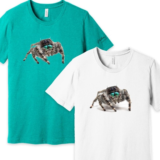 Nathan Jordan Photography - Jump Spider Tshirt