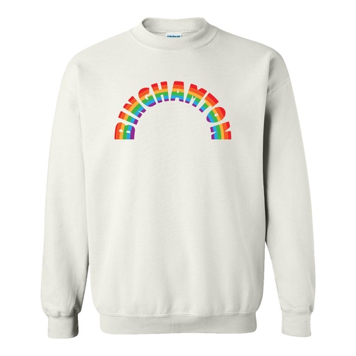 Binghamton Rainbow Crewneck Sweatshirt - ONLINE EXCLUSIVE