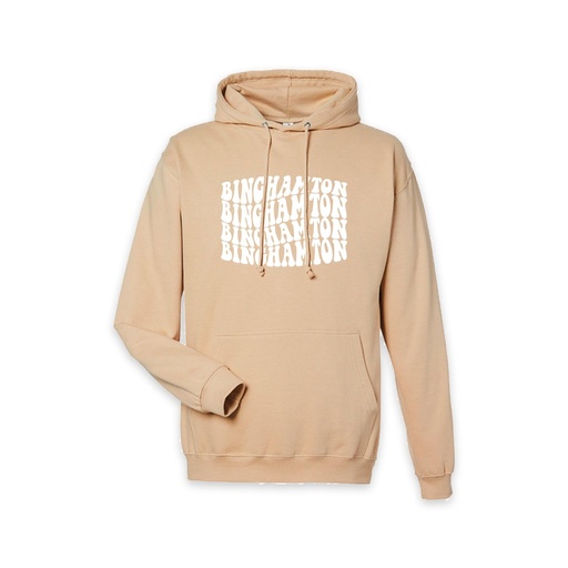 Repeated Binghamton Hoodie