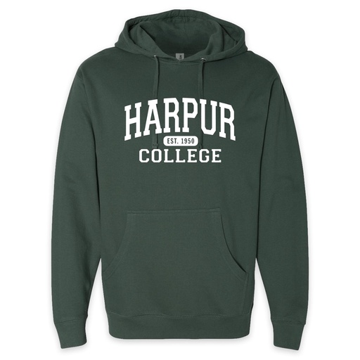 Harpur College Nostalgia Hoodie in Green